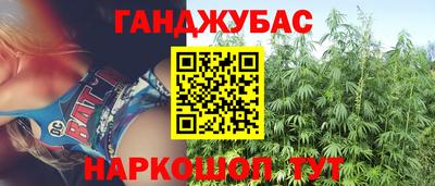 амф Гатчина