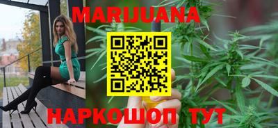 амф Гатчина