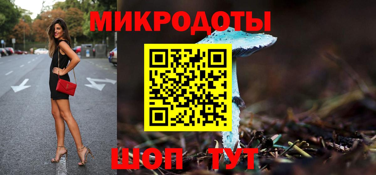 Псилоцибиновые грибы Cubensis Кимры